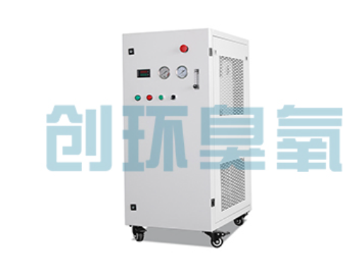 平泉石斑鱼养殖水质调控完整指南:臭氧发生器配置与操作步骤